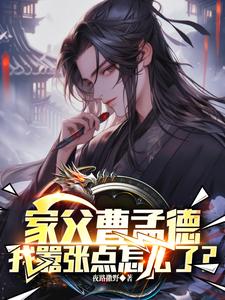 曹贼是指